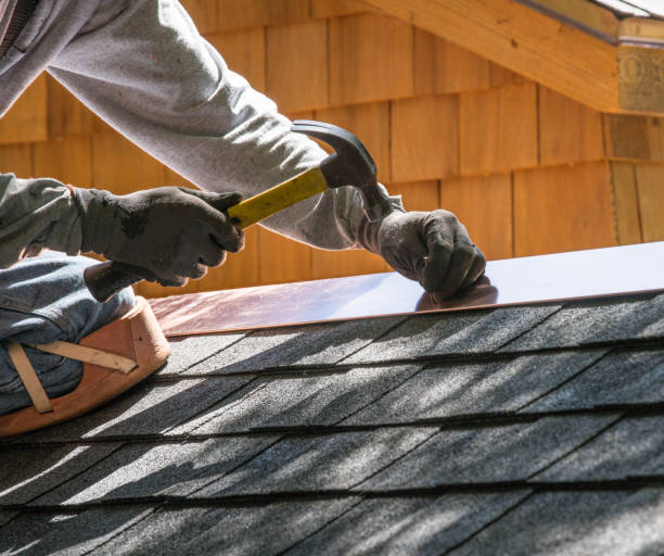 Best Roof Gutter Cleaning  in Sisco Heights, WA